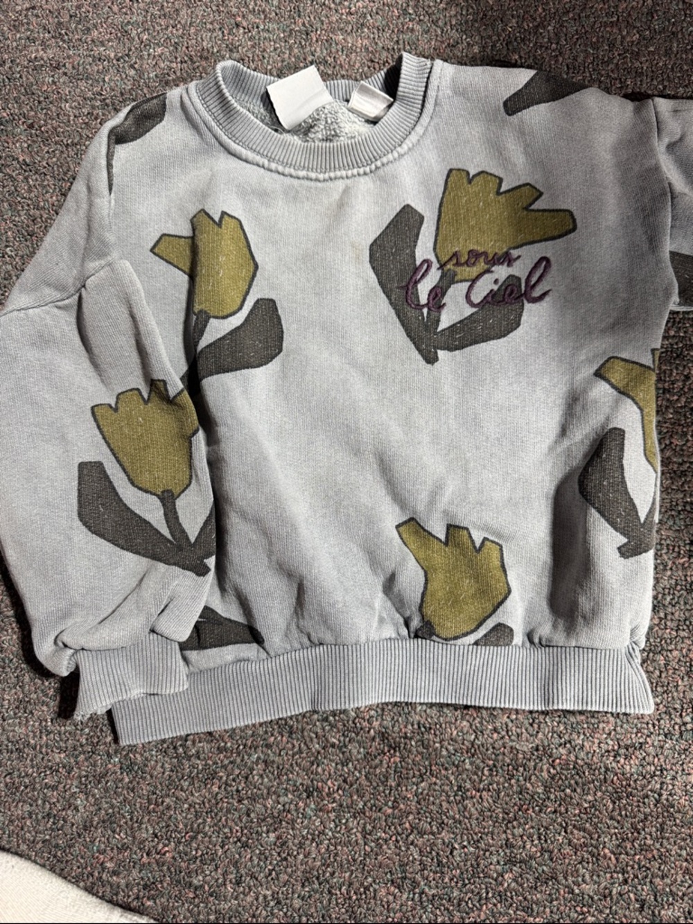 Zara Light Gray Sweatshirt with Olive and Purple Floral Print